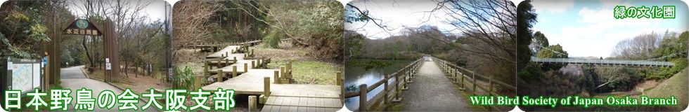 日本野鳥の会大阪支部