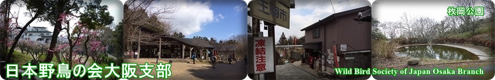 ���{�쒹�̉���x��