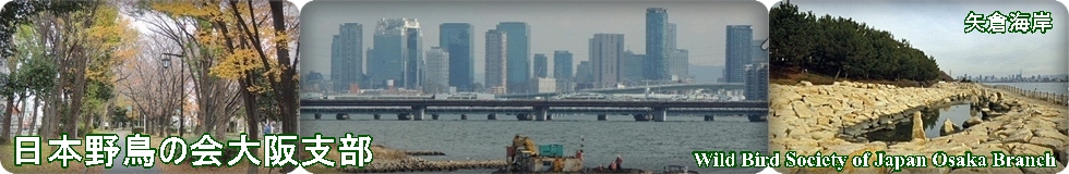 日本野鳥の会大阪支部