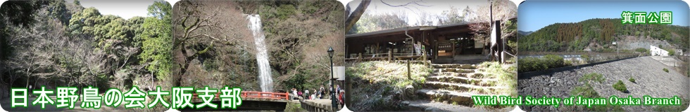 ���{�쒹�̉���x��