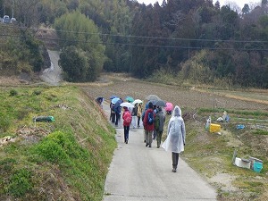 �@��������i�ގQ����