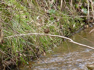 �~�\�T�U�C