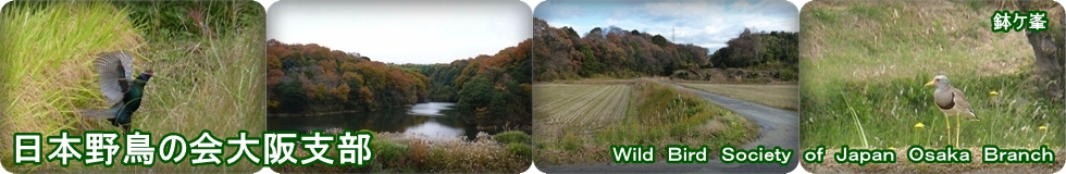 ���{�쒹�̉���x��