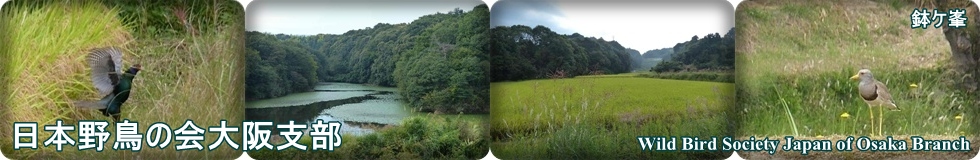 ���{�쒹�̉���x��