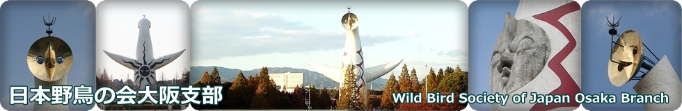 ���{�쒹�̉���x��