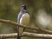 120414�I�I���� RS P1100582 (2).jpg