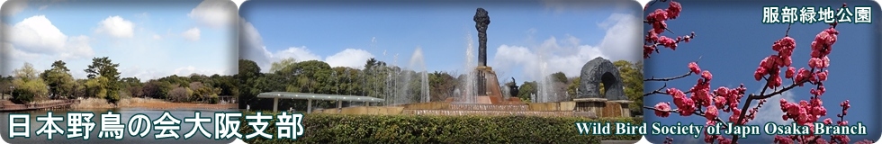 ���{�쒹�̉���x��