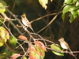 ���Βn�~���}�{�E�W��