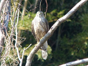 �I�I�^�J�c��