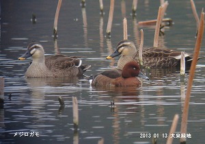 ���W���K��