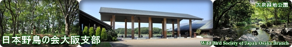 日本野鳥の会大阪支部