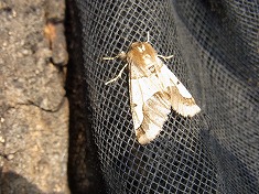 �j�g�x�G�_�V���N