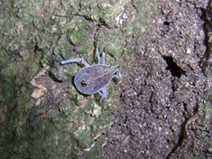 �L�}�_���J�����V