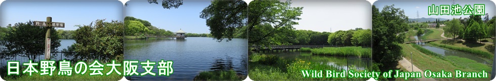 ���{�쒹�̉���x��