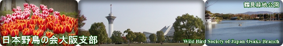 ���{�쒹�̉���x��