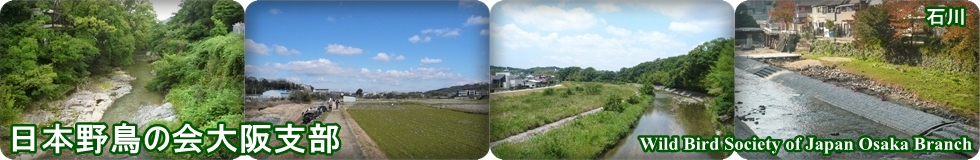 ���{�쒹�̉���x��