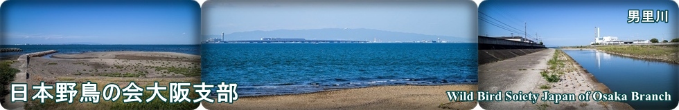 日本野鳥の会大阪支部