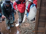 ���n�������ŃJ���X�̌Ñ��󋵊ώ@