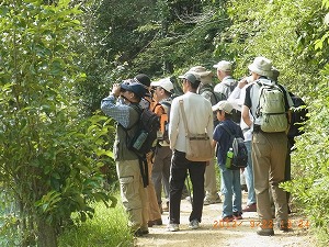 オオタカを観察する参加者