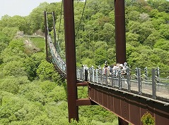 ���̃u�����R