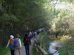 �V�̐�V����