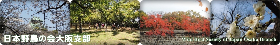 ���{�쒹�̉���x��