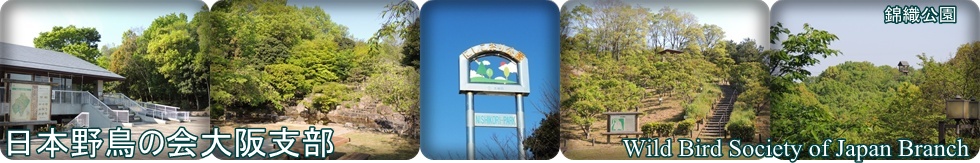 日本野鳥の会大阪支部