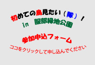 申し込み専用フォーム