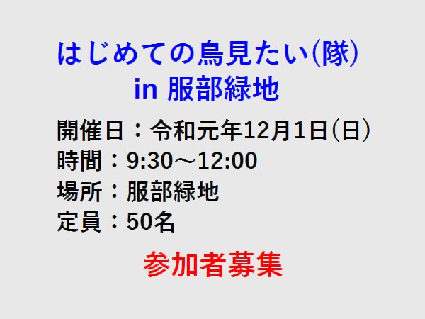 申し込み専用フォーム