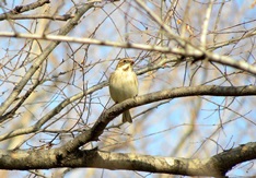 �I�I�W������