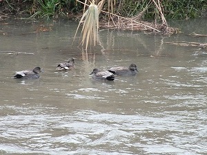 �I�J���V�K��