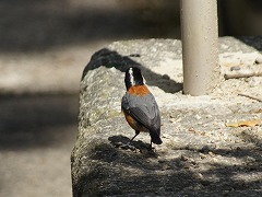 ���}�K��