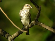 �G�]�r�^�L