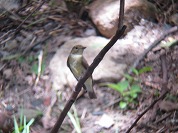 �R�T���r�^�L