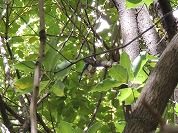 �I�I����