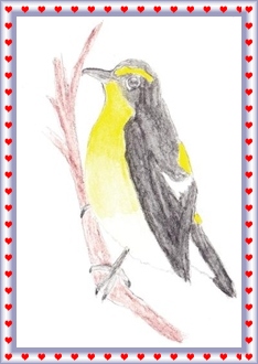 ���낳����B�L�r�^�L