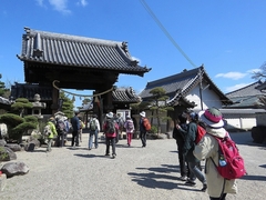 20160321-furuichi-07kansatsu