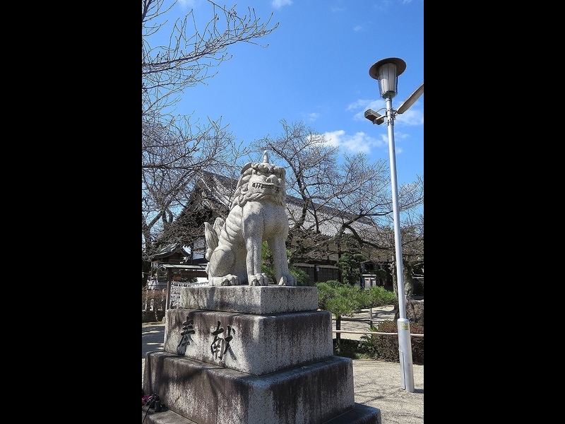 20160321-furuichi-08komainu