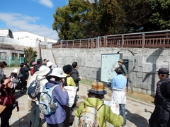 20160321-furuichi-14tancho