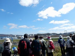 20160321-furuichi-15tancho2