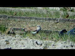 20160321-furuichi-18