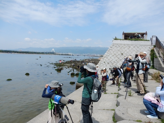 20150506-koushienhama-03-tantyou1