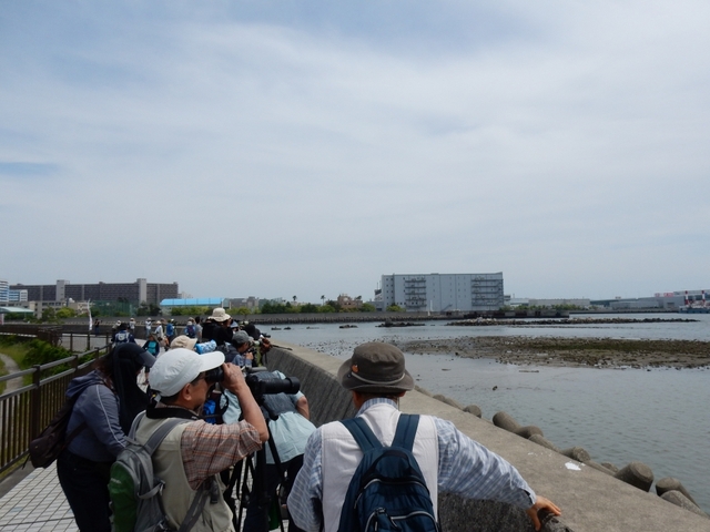 20150506-koushienhama-04-tantyou2
