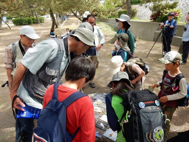 20150506-koushienhama-05-tantyou3