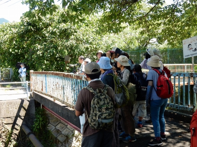 20150720-haibara-14-tantyou1