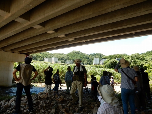 20150720-haibara-15-tantyou2