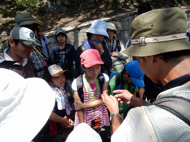 20150720-haibara-16-tantyou3