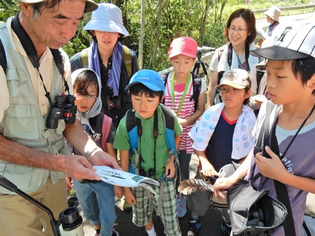 20150720-haibara-17-tantyou4