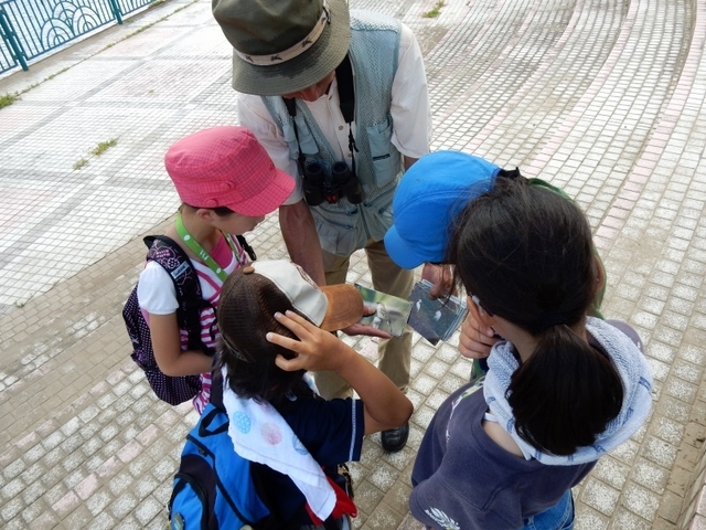 20150720-haibara-18-tantyou5