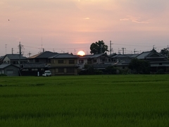 20150808-funato-07ninoirii�F�B�e-���G�K